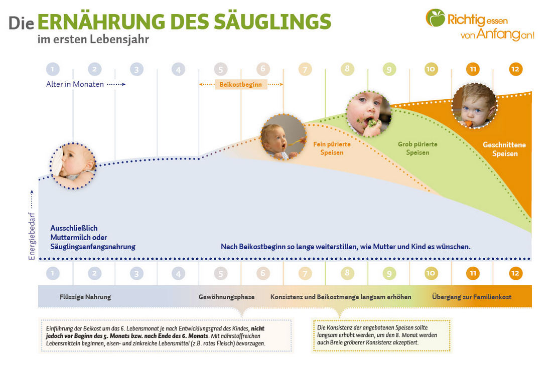 Baby-Ernährungsplan